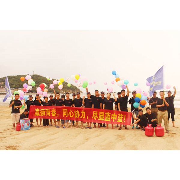 百忙之中，公司組織員工海邊旅游